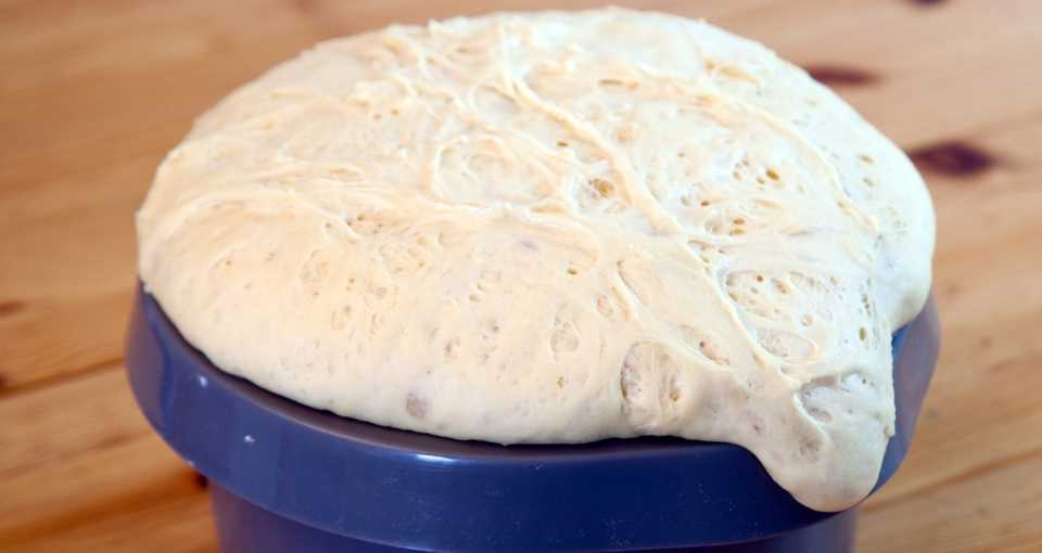 Can You Refrigerate Dough After It Rises? Cooking Chops